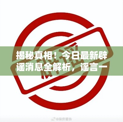 揭秘真相！今日最新辟谣消息全解析，谣言一网打尽！