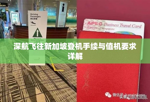 深航飞往新加坡登机手续与值机要求详解