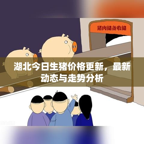 湖北今日生猪价格更新,最新动态与走势分析