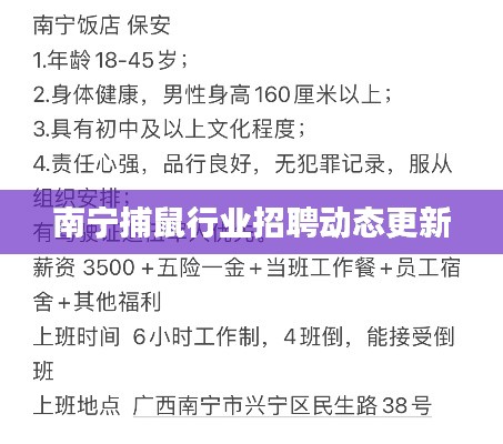 南宁捕鼠行业招聘动态更新