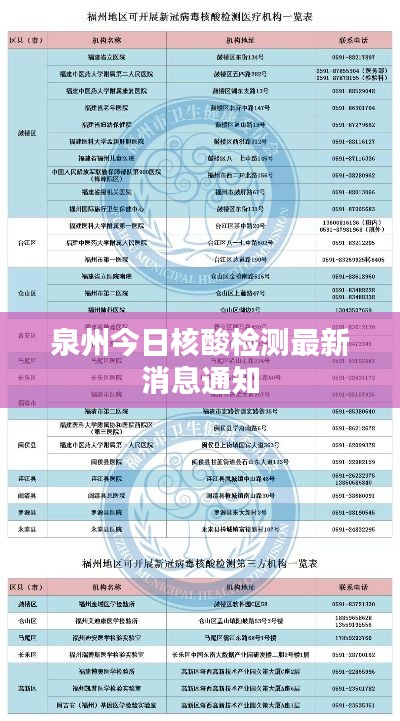 2025年8月 第17页