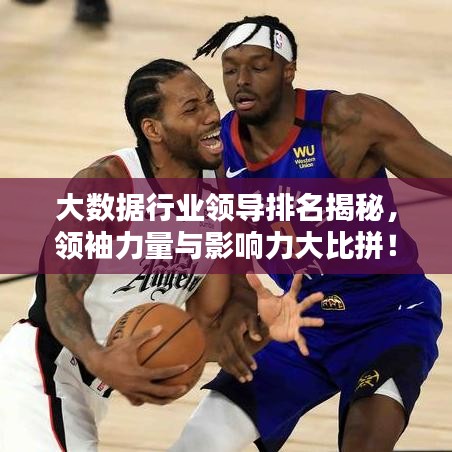 大数据行业领导排名揭秘,领袖力量与影响力大比拼!