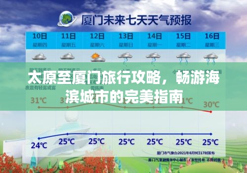 2025年8月 第13页