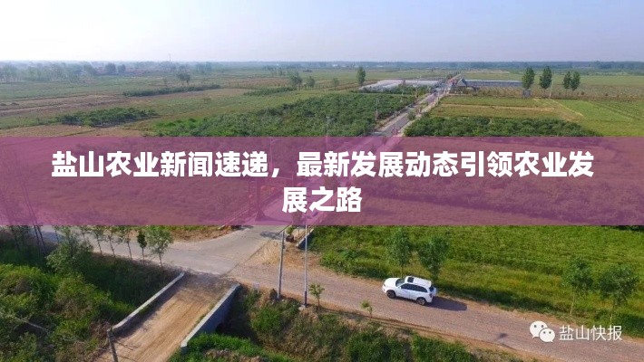 盐山农业新闻速递,最新发展动态引领农业发展之路