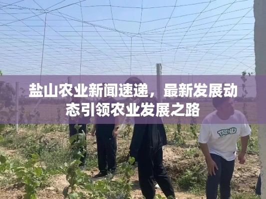 盐山农业新闻速递,最新发展动态引领农业发展之路