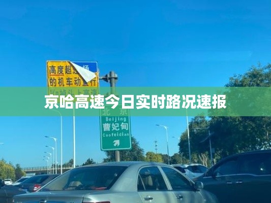 2025年8月 第9页