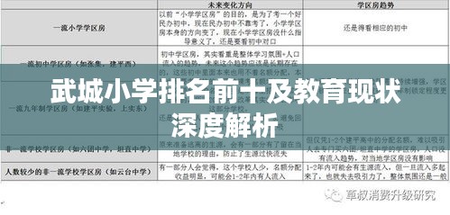 武城小学排名前十及教育现状深度解析