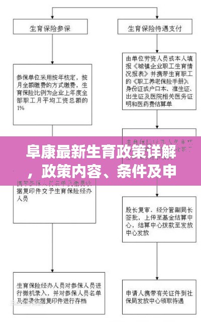阜康最新生育政策详解,政策内容、条件及申请流程一网打尽!