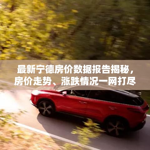 最新宁德房价数据报告揭秘,房价走势、涨跌情况一网打尽