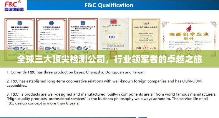 全球三大顶尖检测公司,行业领军者的卓越之旅
