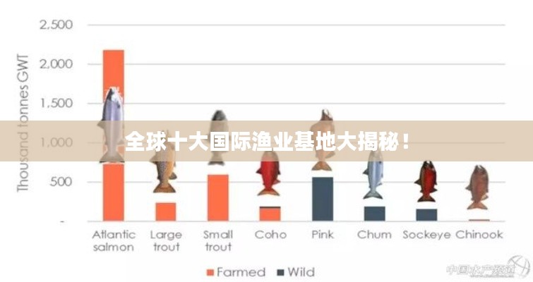 全球十大国际渔业基地大揭秘!