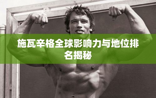 施瓦辛格全球影响力与地位排名揭秘