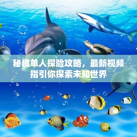 仪表堂堂