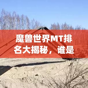 魔兽世界MT排名大揭秘，谁是最强坦克？