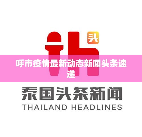 呼市疫情最新动态新闻头条速递