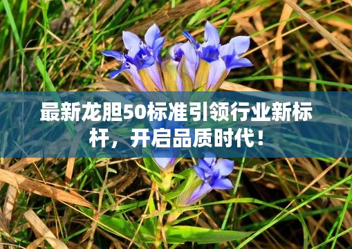 最新龙胆50标准引领行业新标杆,开启品质时代!