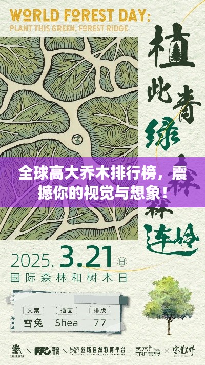 全球高大乔木排行榜,震撼你的视觉与想象!