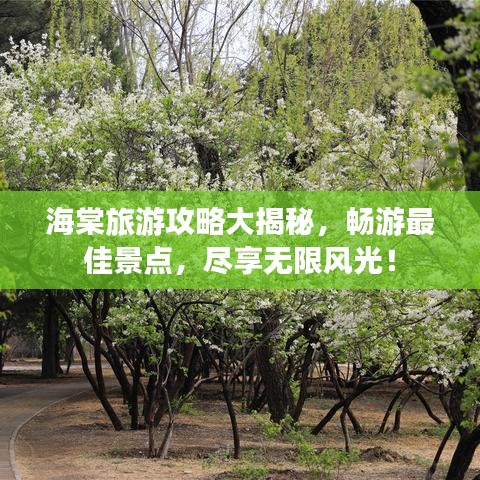 海棠旅游攻略大揭秘，畅游最佳景点，尽享无限风光！