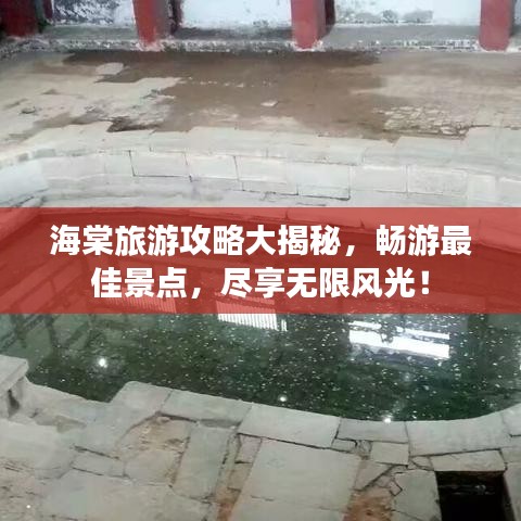 海棠旅游攻略大揭秘,畅游最佳景点,尽享无限风光!