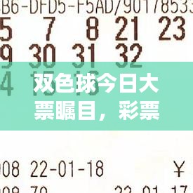 双色球今日大票瞩目,彩票市场热点聚焦