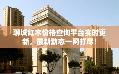 龙飞凤舞