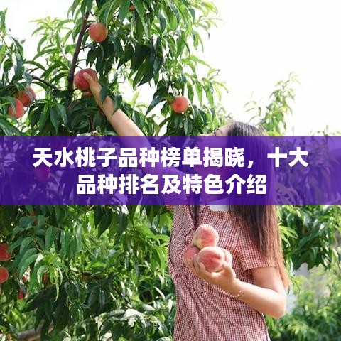 天水桃子品种榜单揭晓,十大品种排名及特色介绍