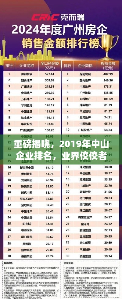 神采飞扬