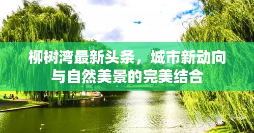 囊萤映雪
