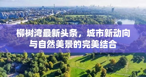 柳树湾最新头条,城市新动向与自然美景的完美结合