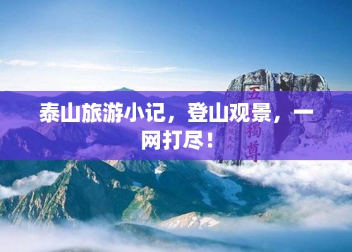 飞扬拨扈
