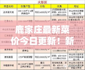 鹿家庄最新菜价今日更新！新鲜出炉的价格信息！