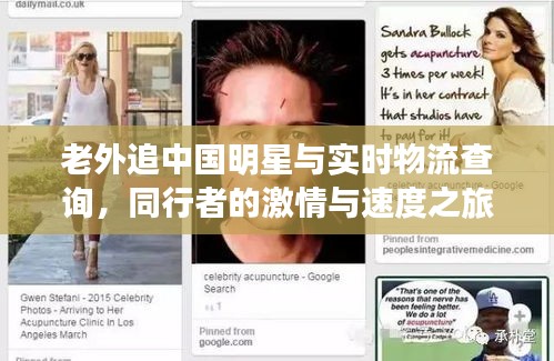 老外追中国明星与实时物流查询,同行者的激情与速度之旅