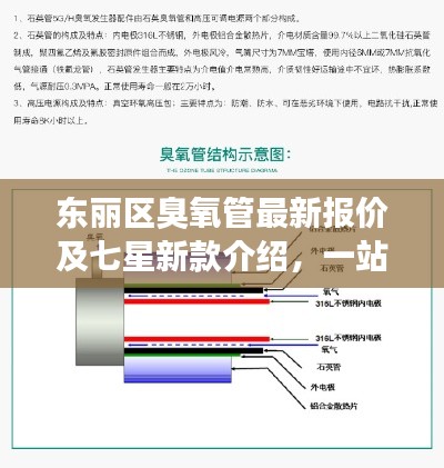 东丽区臭氧管最新报价及七星新款介绍，一站式了解！