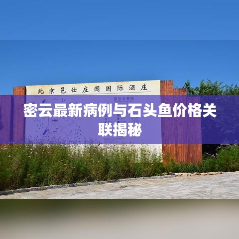 蓬荜生辉