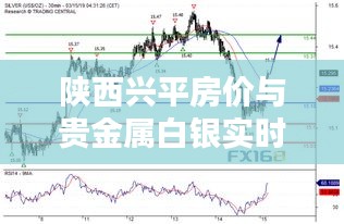 夯雀儿先飞