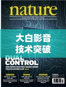 大白影音技术突破,破解与实时计算芯片融合,影音体验全新升级