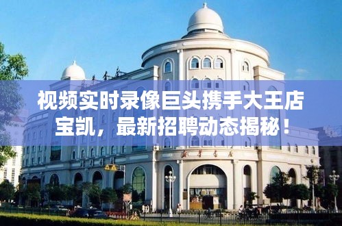 视频实时录像巨头携手大王店宝凯,最新招聘动态揭秘!