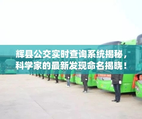 辉县公交实时查询系统揭秘,科学家的最新发现命名揭晓!