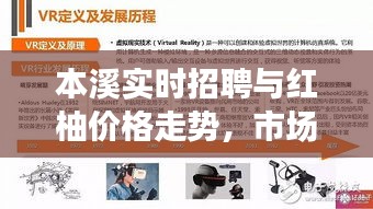 网站案例 第5页