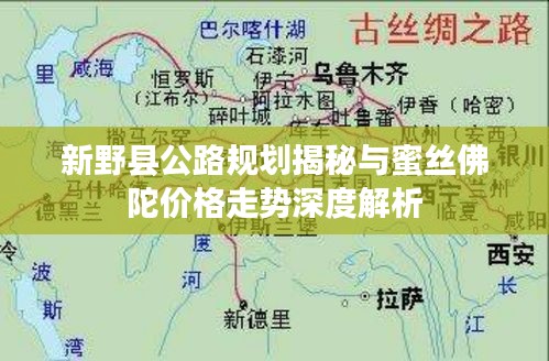 新野县公路规划揭秘与蜜丝佛陀价格走势深度解析