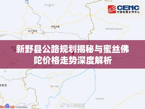 新野县公路规划揭秘与蜜丝佛陀价格走势深度解析