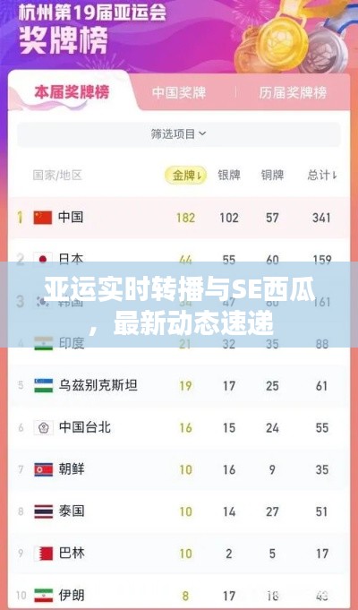 亚运实时转播与SE西瓜,最新动态速递
