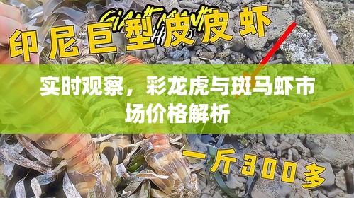 料事如神