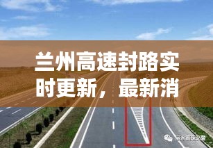 鸢飞鱼跃
