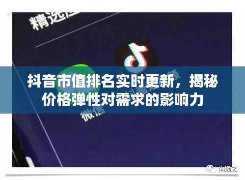 抖音市值排名实时更新,揭秘价格弹性对需求的影响力