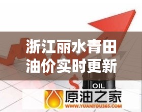 浙江丽水青田油价实时更新,车主必备关注!