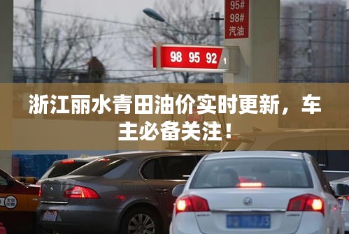浙江丽水青田油价实时更新,车主必备关注!