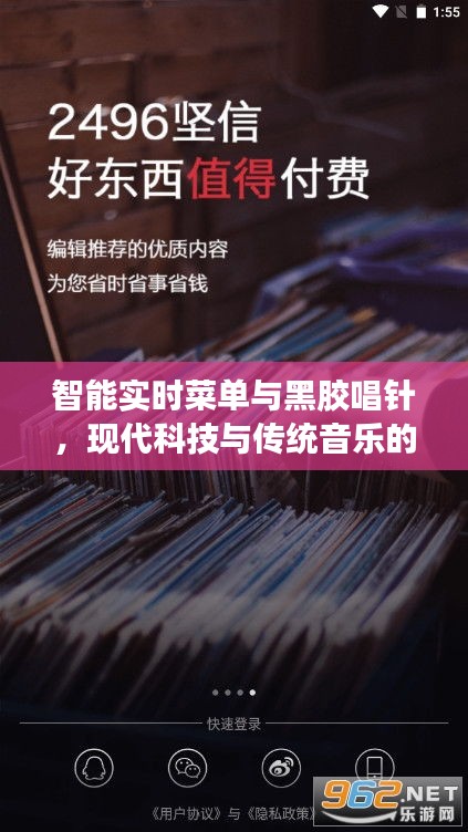 智能实时菜单与黑胶唱针，现代科技与传统音乐的融合价格揭秘