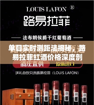 单目实时测距法揭秘,路易拉菲红酒价格深度剖析