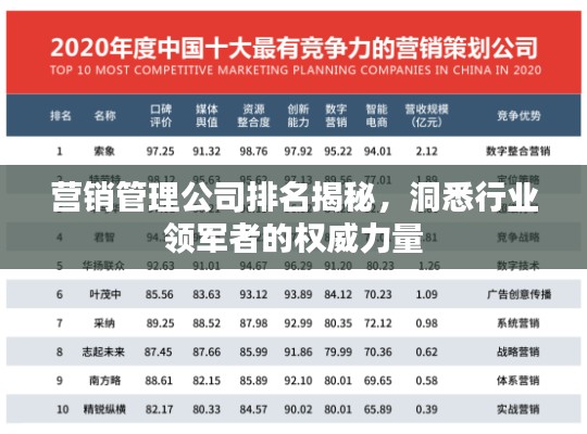 营销管理公司排名揭秘，洞悉行业领军者的权威力量